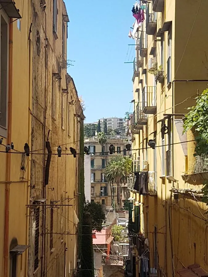 Rega Holiday House Naples Bed & Breakfast