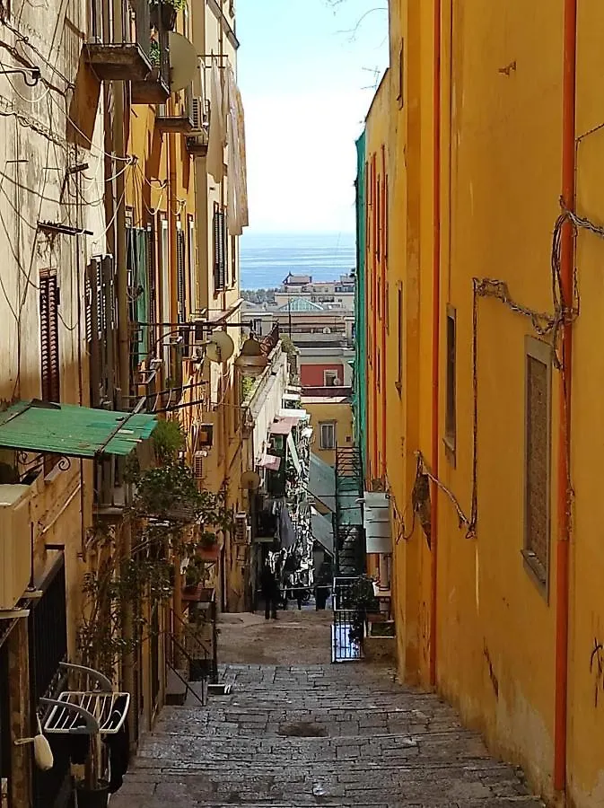 Bed & Breakfast Rega Holiday House Naples